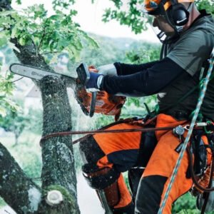 Motosierra Poda T435 35.2cc Espada 35cm - Image 7