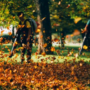 Sopladora tipo mochila 1,6 Kw 41 Cc 255 Km//h - Image 9