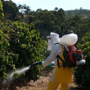 Fumigadora Pulverizadora 362D28 62cc 28lts - Image 4