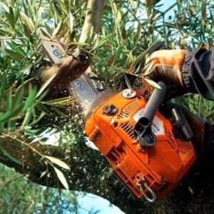 Motosierra Poda T435 35.2cc Espada 35cm - Image 6