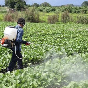 Fumigadora Pulverizadora 321s15 25,4cc 15 Lts - Image 6