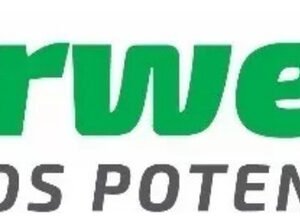 Bomba Centrífuga Z2 1HP Monofásica - Image 6