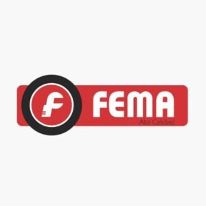 Fema Logo