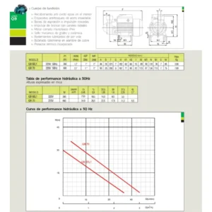 Bomba Periferica Elevadora Qb60 - Image 2